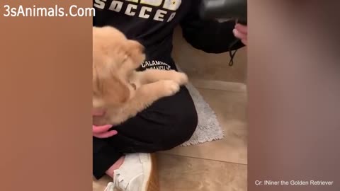 ♥Cute Puppies Doing Funny Things 2020♥ #3 Cutest Dogs