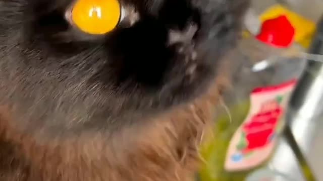 😳 . . . . . . . Credit to respective owner Dm for credit or removal