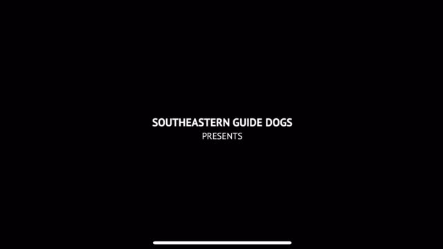 Short animated film Guide dogs