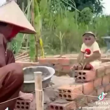 I understand labour shortage but this is ridiculous