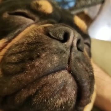 Never loved something so much 😍