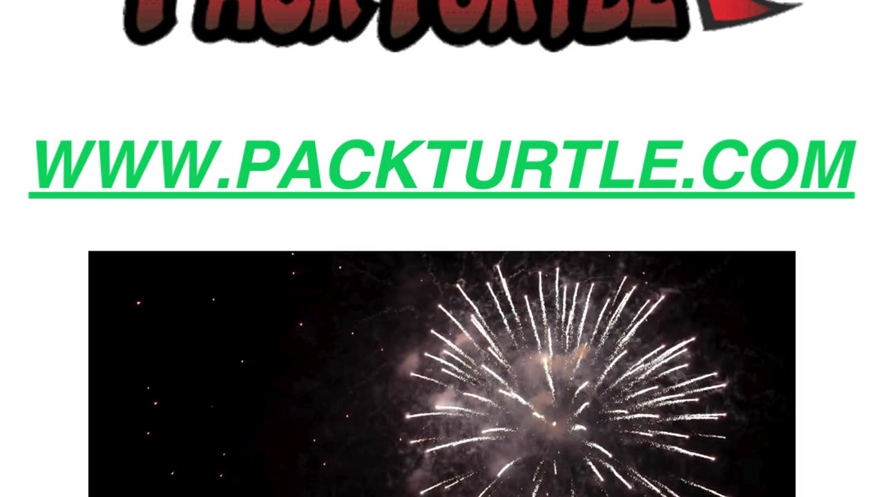 Holiday Late Arrivals at Pack Turtle!