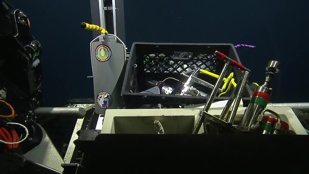 ROV Hercules Dive