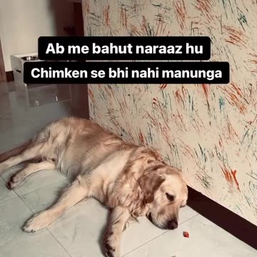 Mere sath kyu hua aisa🙁