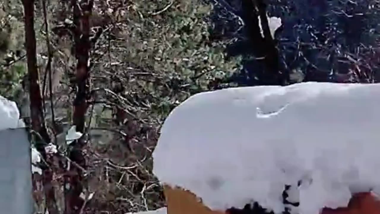 Murree Bhurban Road Snowfall View