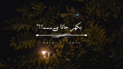 Tot kar piyaar kare dil jo🥀🍁New whatsapp status
