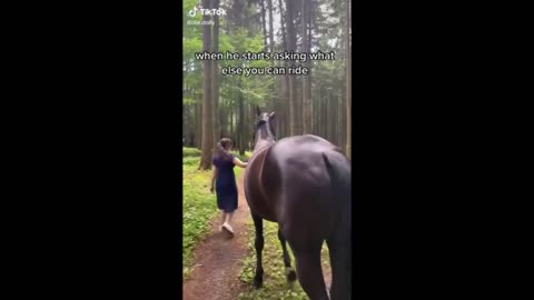 Horse TikToks That Went Viral! #5