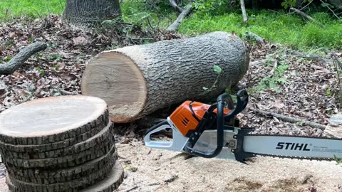 Stihl MS 500i for my wedding 🤵‍♂️👰‍♀️💍