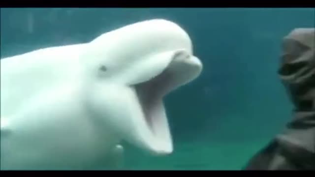 funny moments 1