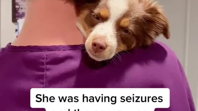 We will update once we find out more ❤️