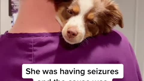 We will update once we find out more ❤️