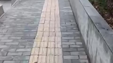 “突凍人、急凍人_全球詭異的定格不動現象06_中國 陝西省 西安市”大清早送小孩上學看見一個黑人站在路中間一動不動好長時間！新冠疫苗造成朊病毒攻擊腦部出現的症狀？