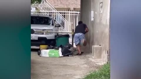 Best Funny videos 😂😂 try not to laugh 🤣😂😂