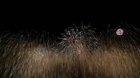 Firework Stock Footage Free HD Videos