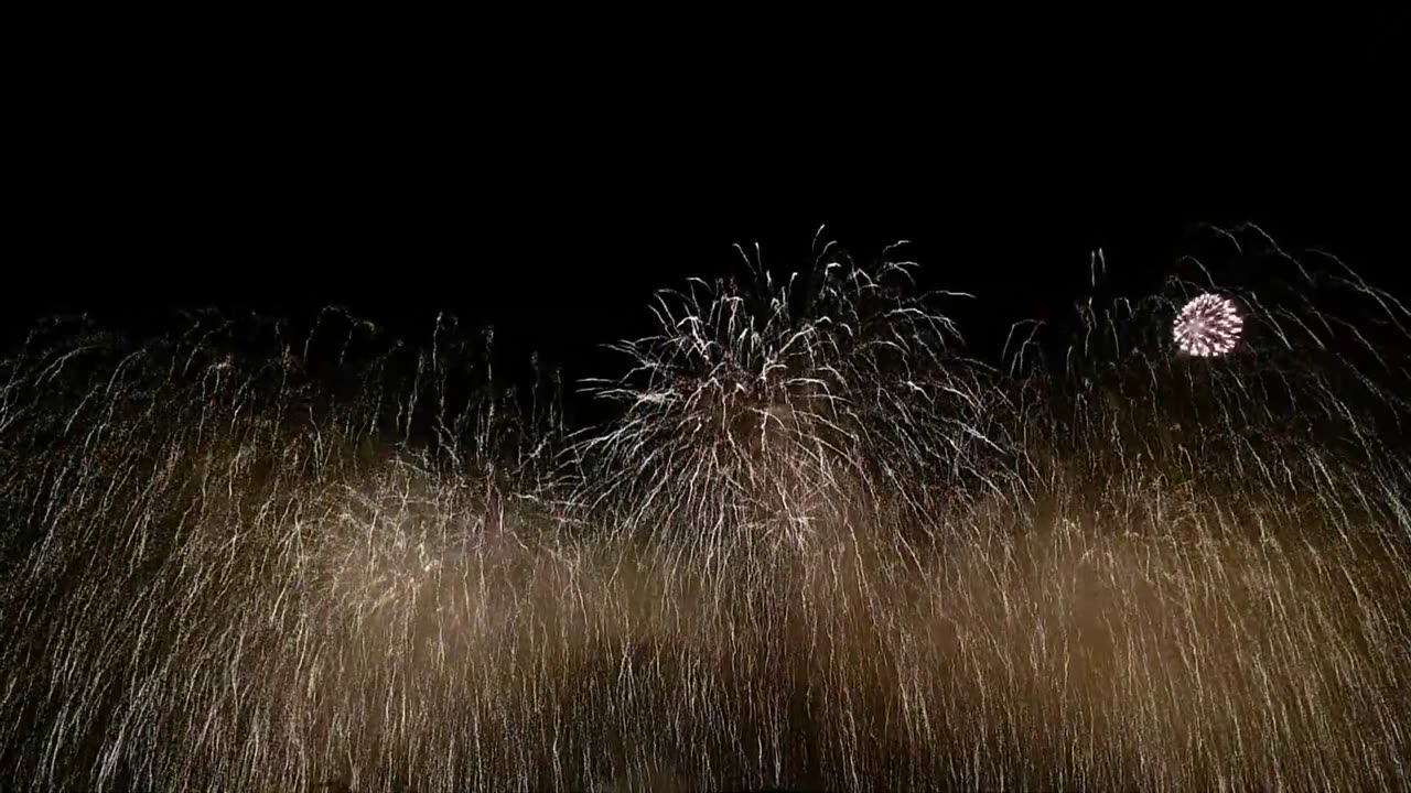 Firework Stock Footage Free HD Videos