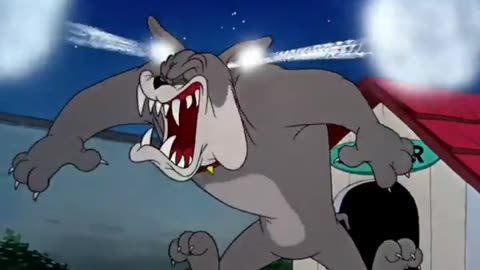 Tom&jerry cartoon