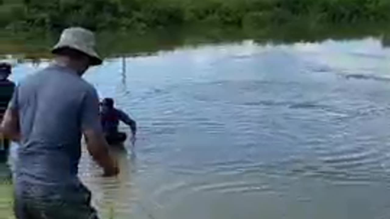 Cast_net_Fishing_in_the_countryside_of_Asia_#travel_#viral_#vlog_#nature_#fishing_#fish(240p)