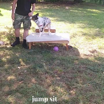 Ruff Cut PodCast Leash Handling part 2 cut ee