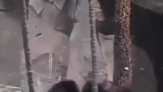 Awww poor baby 🥰🥺