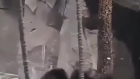 Awww poor baby 🥰🥺