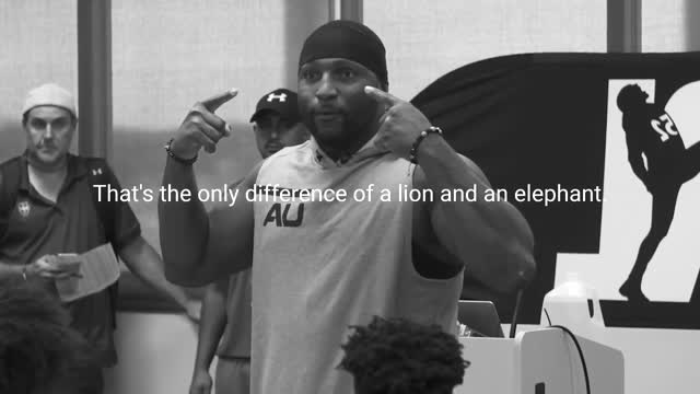 LION MENTALITY - Motivational Video