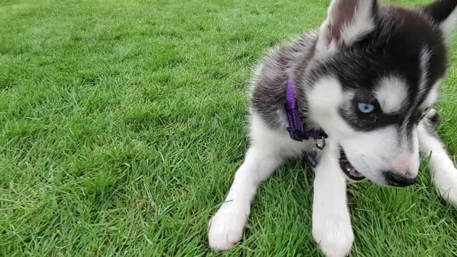 Look at those BLUE eyes!