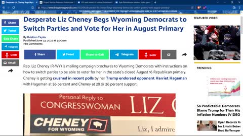Liz Cheney Begged Democrats to become Republicans to vote for her