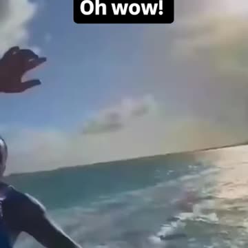 What's their excuse?