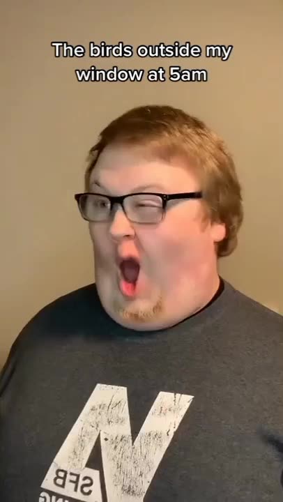 The tree branches would break if he was a bird