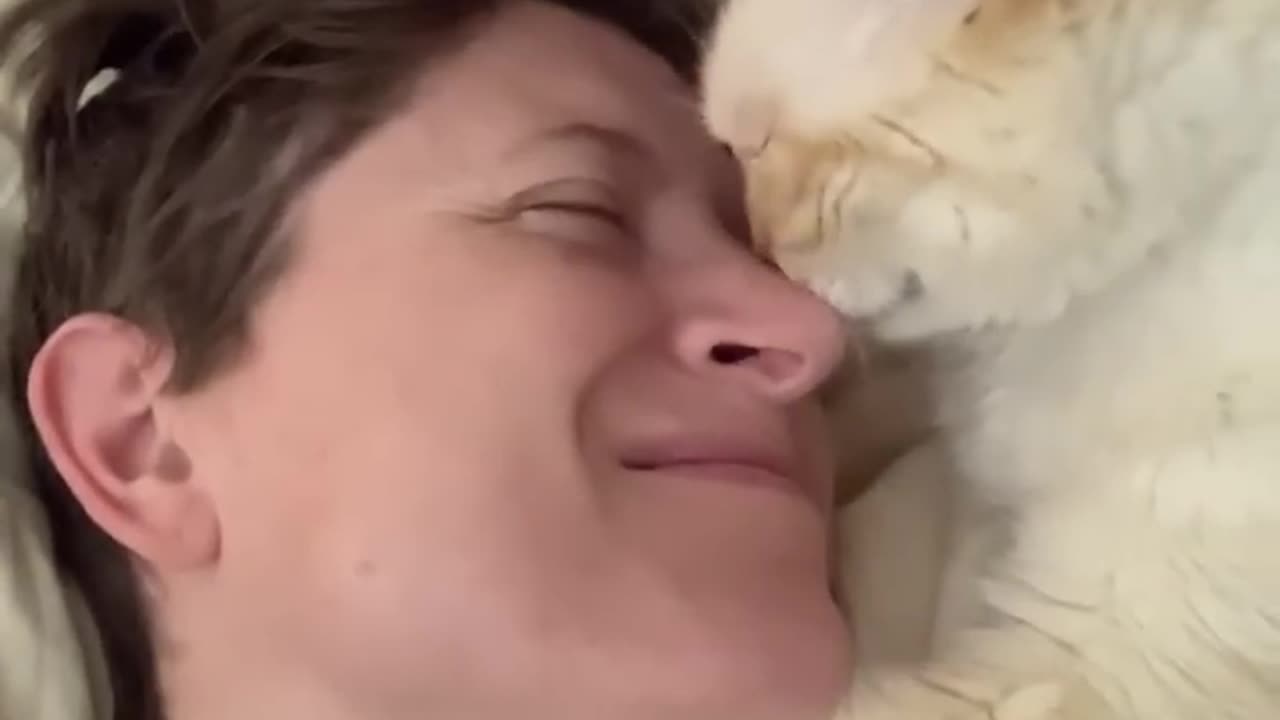 Sweet Cat