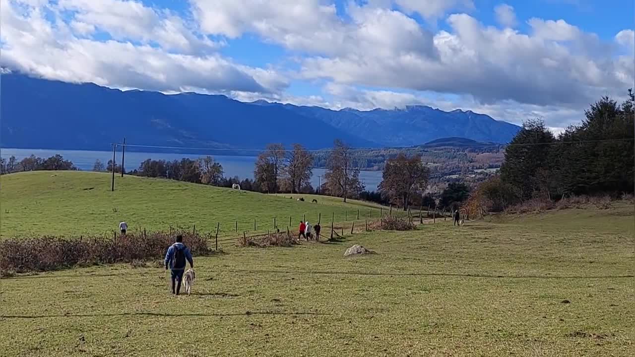 VIAJE AL SUR PRIMER DIA/GALGOS VS LIEBRES