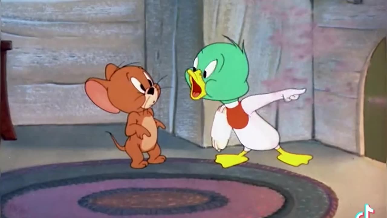 Tom &Jerry funny cartoon please subscribe to my channel