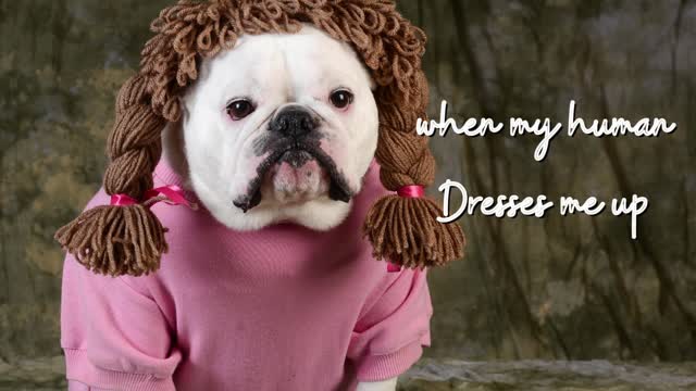 When Humans Dress You