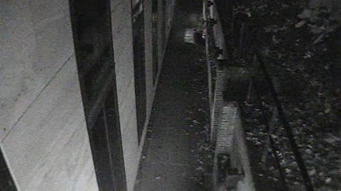 1457HSOB01GroundSoutheast_2021-01-06_01h01min22s537ms.mp4