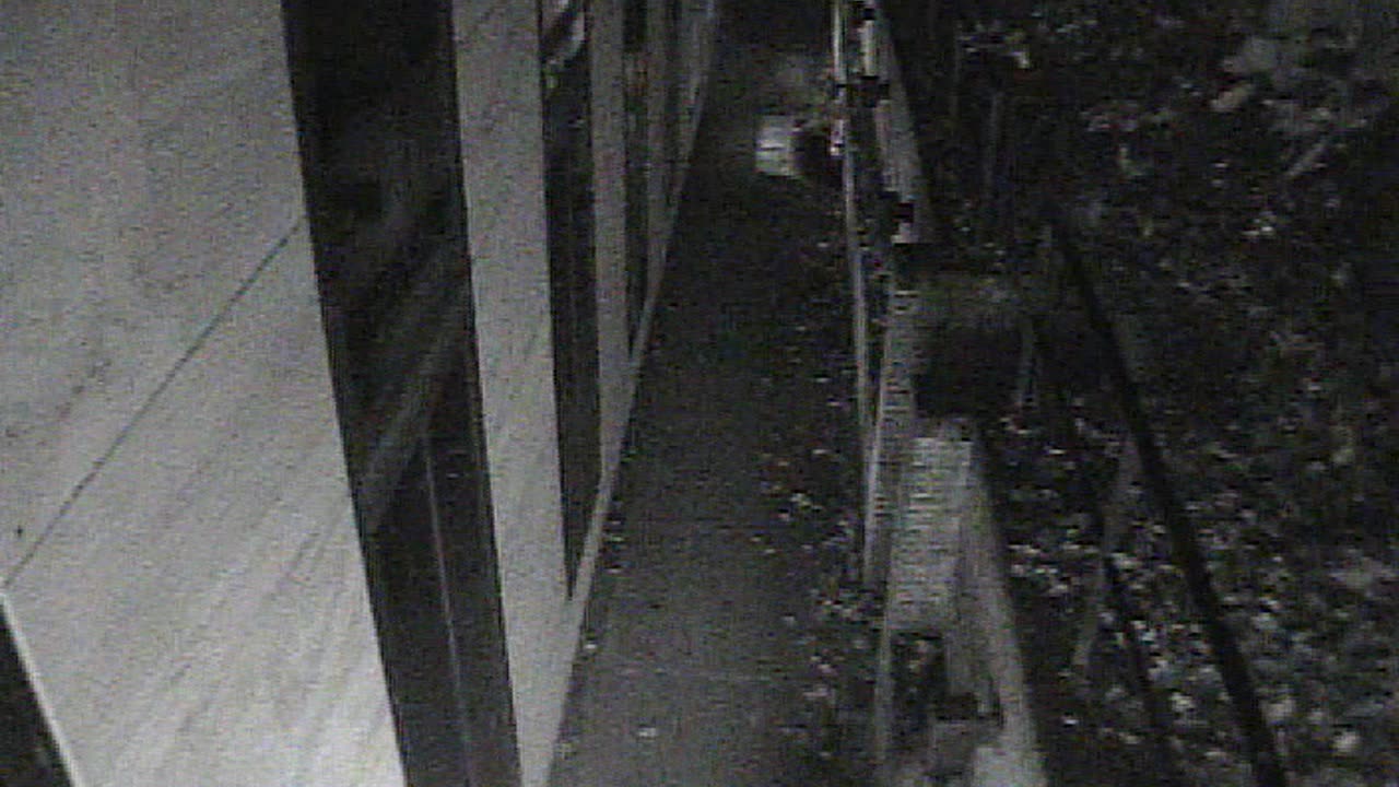 1457HSOB01GroundSoutheast_2021-01-06_01h01min22s537ms.mp4