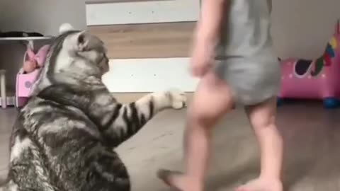 So small cute baby warning his cat, what was the reason------- - video