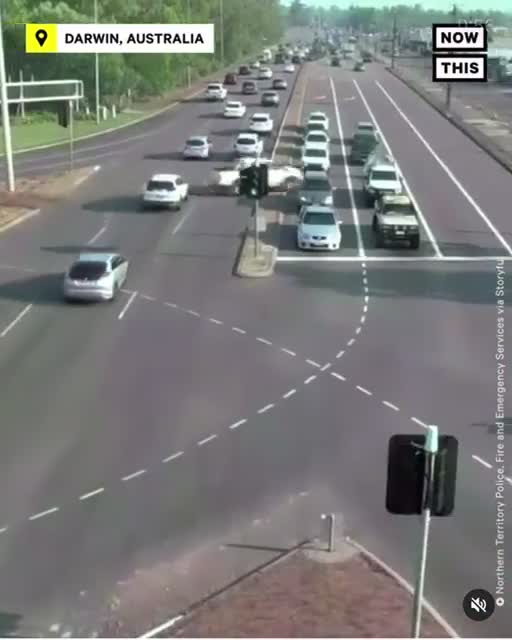 World's Best Wreckless Driver 🟠⚪🟣The NPC Show