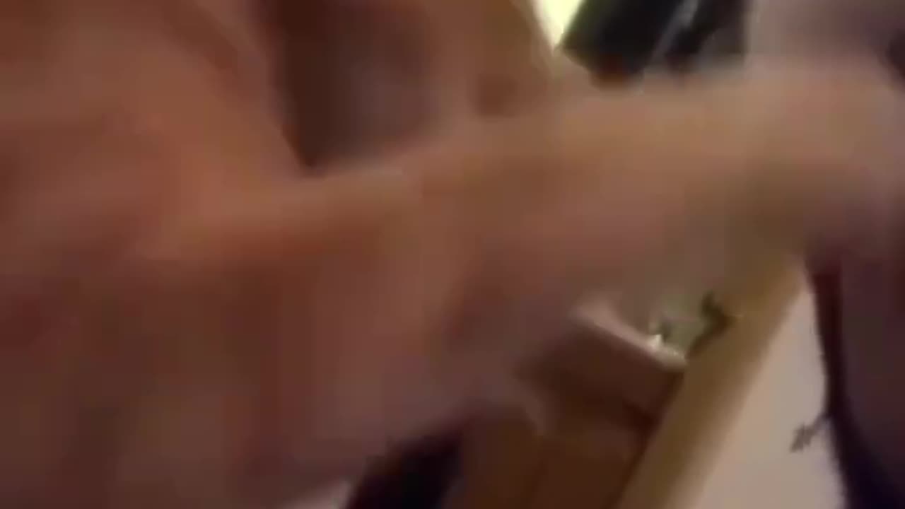 Funny animals