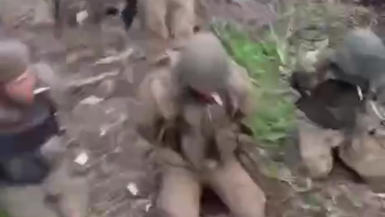 More Russians Surrender Around Bakhmut