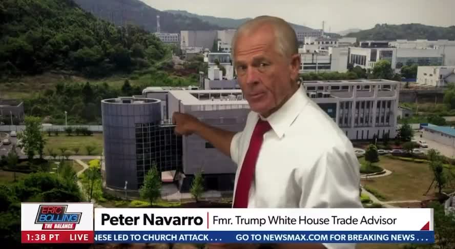 Dr Peter Navarro: 'Fauci will confess to creating the virus' *See Description*