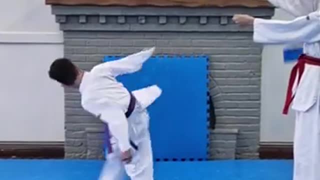 Taekwondo 360 kick 🔥