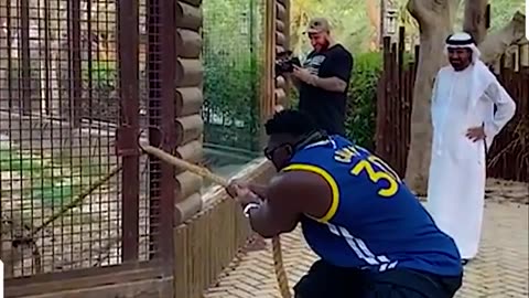 Man Plays Tug of War with 800 Pound Tiger