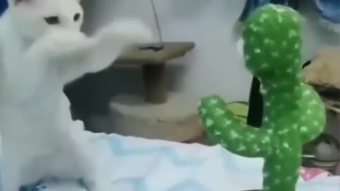 Funny Animal Videos Of The Day 01 #fyp #memes #memedaily #dankmemes