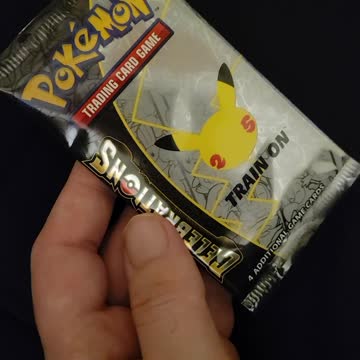 1st pack of Celebrations