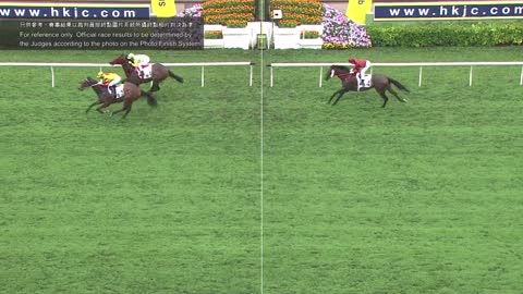 Horce_Race_2022050104_English