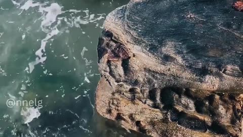 you have to believe in yourself