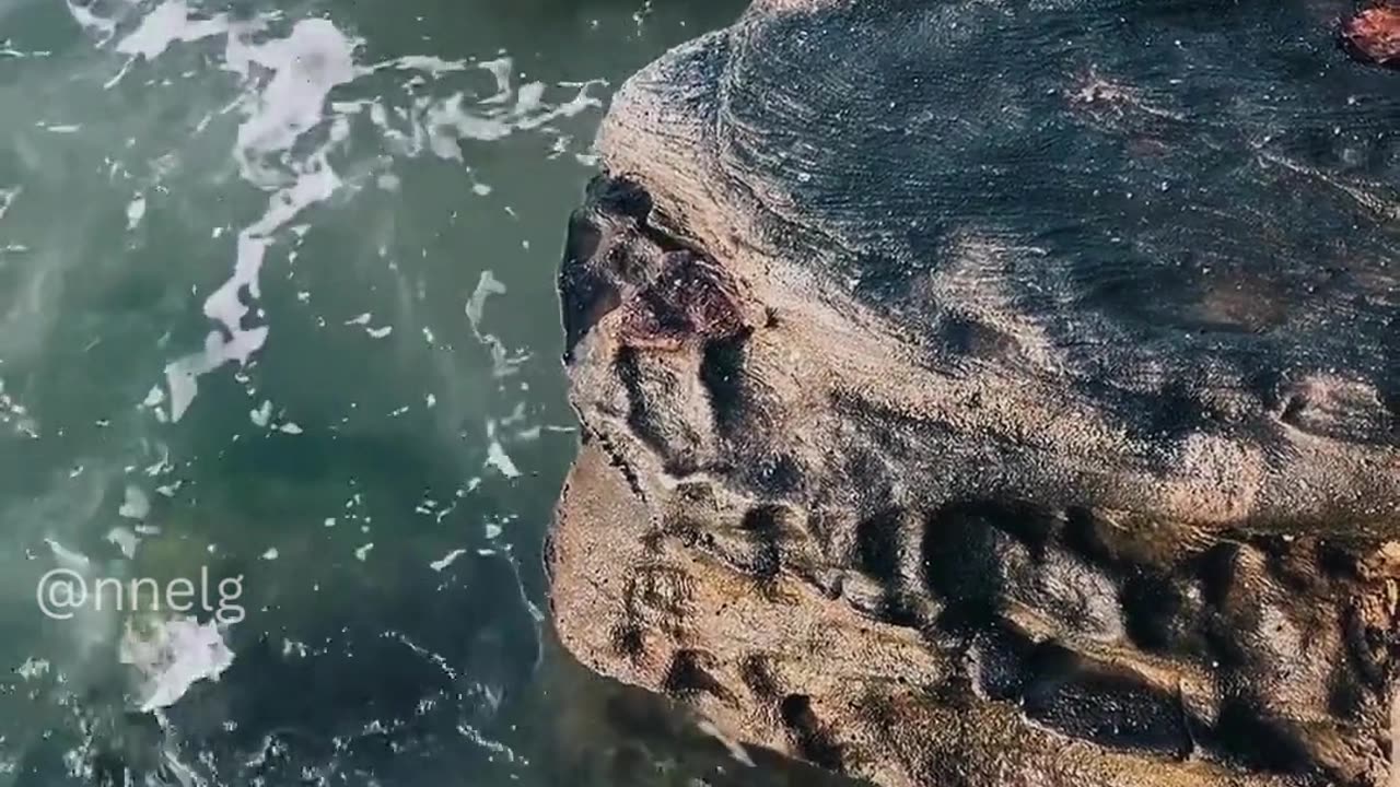 you have to believe in yourself