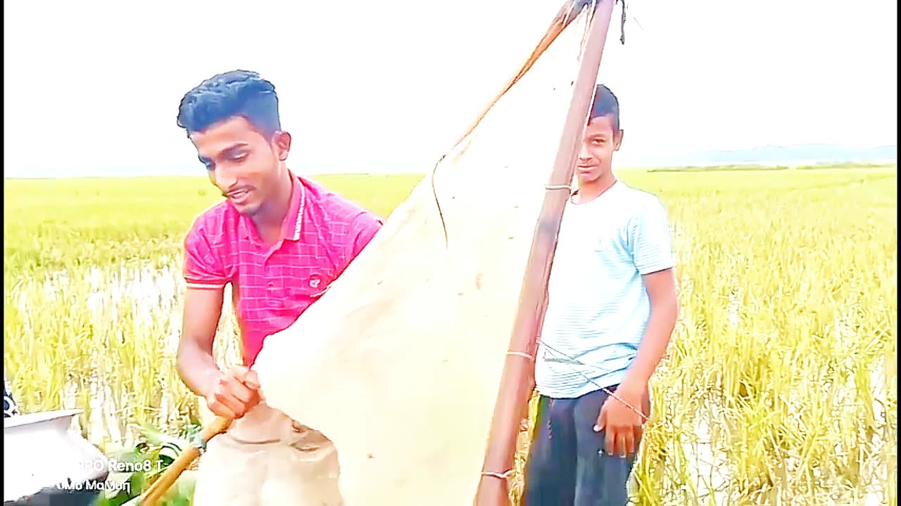 Bangladesh villages fishing #villagefishing#Bangladesh #theboy