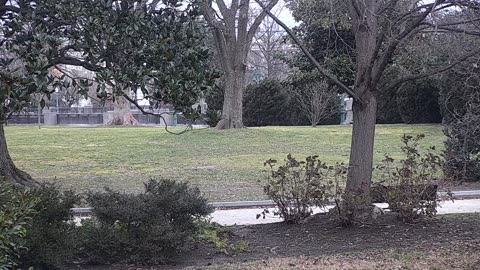 0679USCG00SEDriveExit_2021-01-06_07h35min27s130ms.mp4