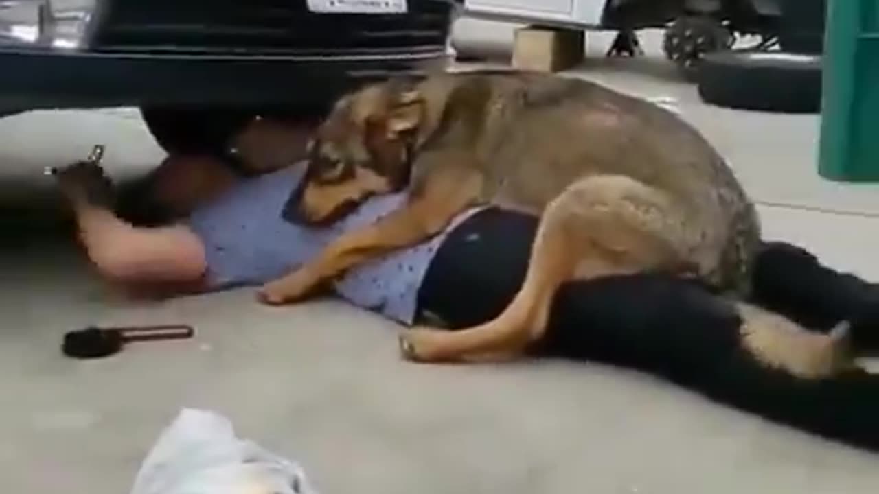 Buddy trying to help